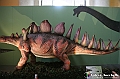 VBS_1025 - Dinosauri. Terra dei giganti